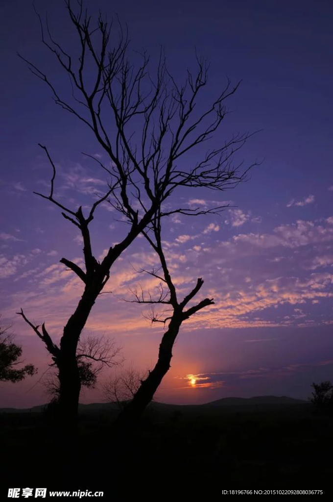 夕阳西下