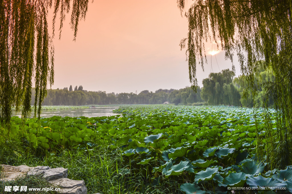 圆明园风景