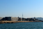 青岛