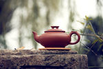 茶文化