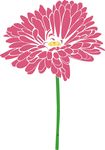花