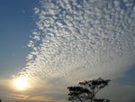 夕阳景观