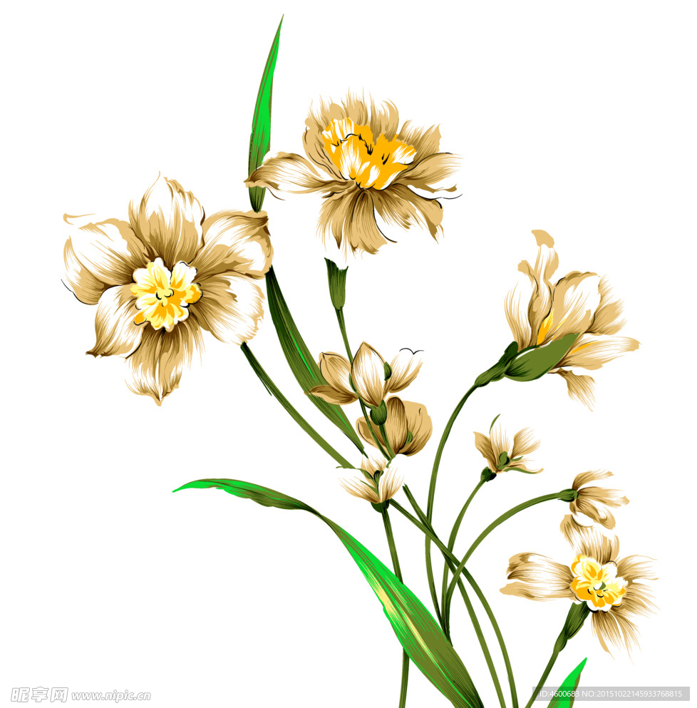手绘风格水仙花