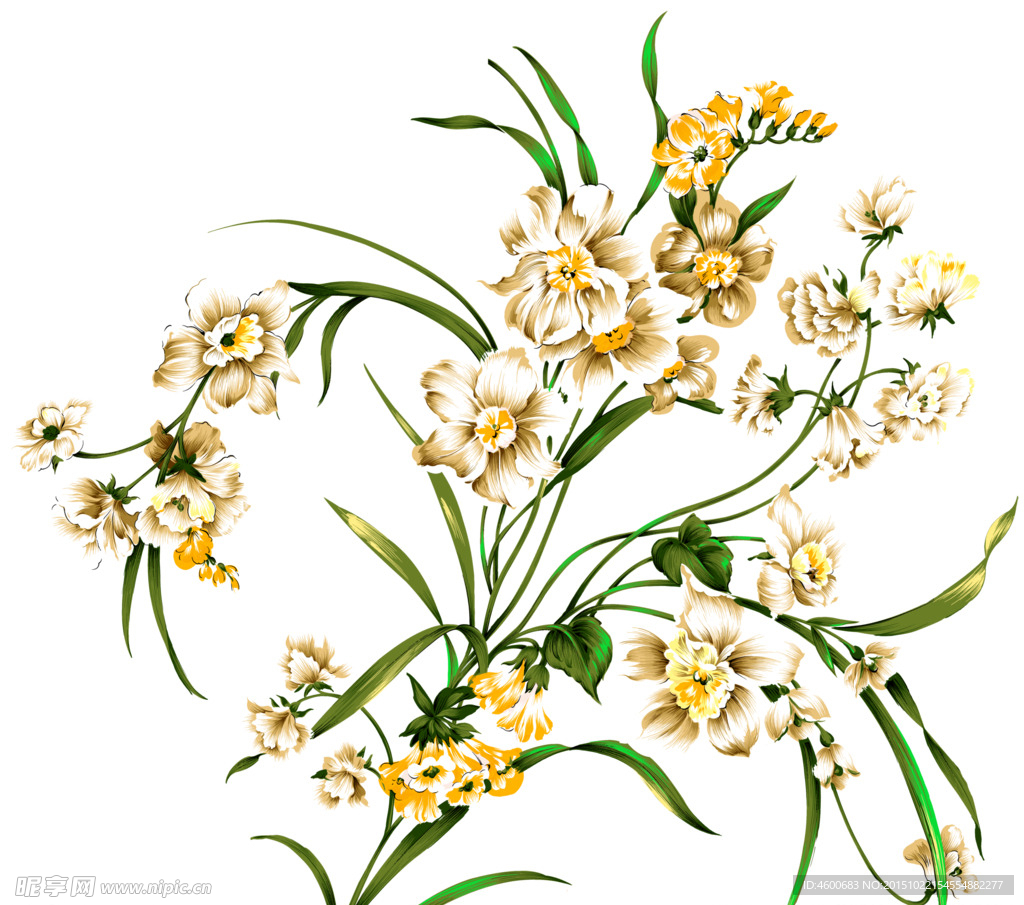 手绘风格水仙花