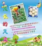 成长的足迹