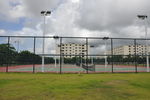 学校 美景