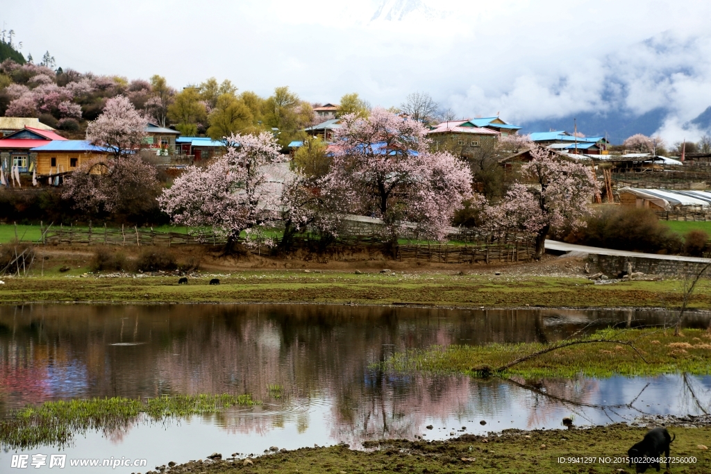 川藏林芝风景