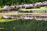 川藏林芝风景