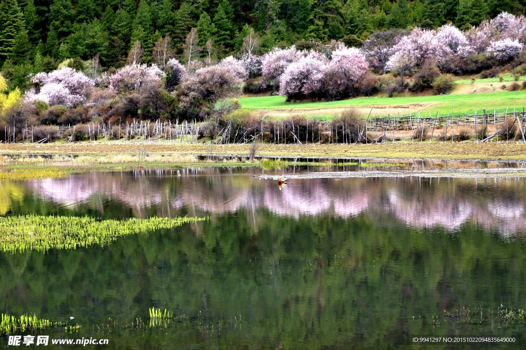 川藏林芝风景