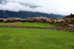 川藏林芝风景