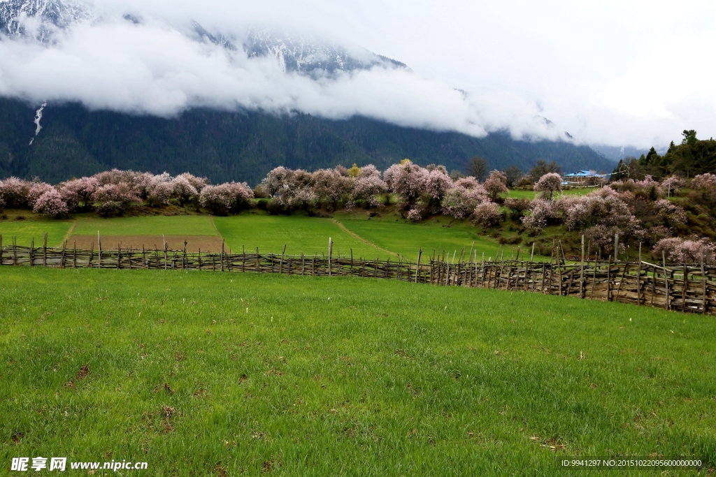 川藏林芝风景