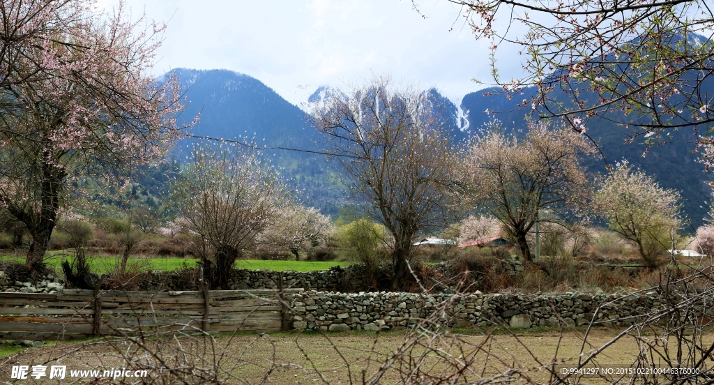 川藏林芝风景