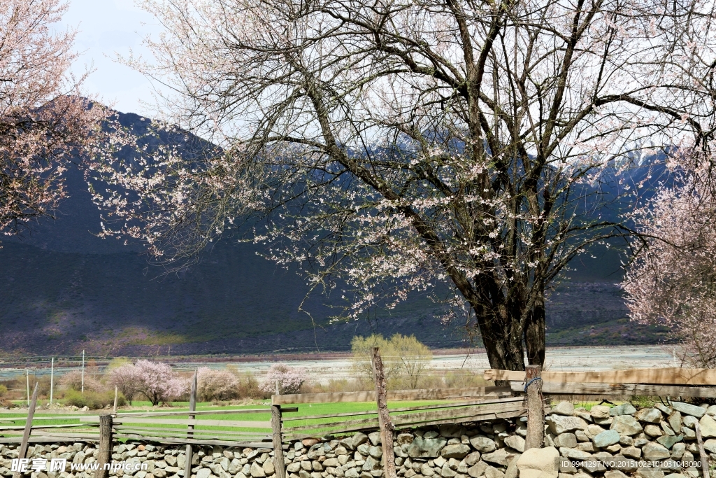 川藏林芝风景