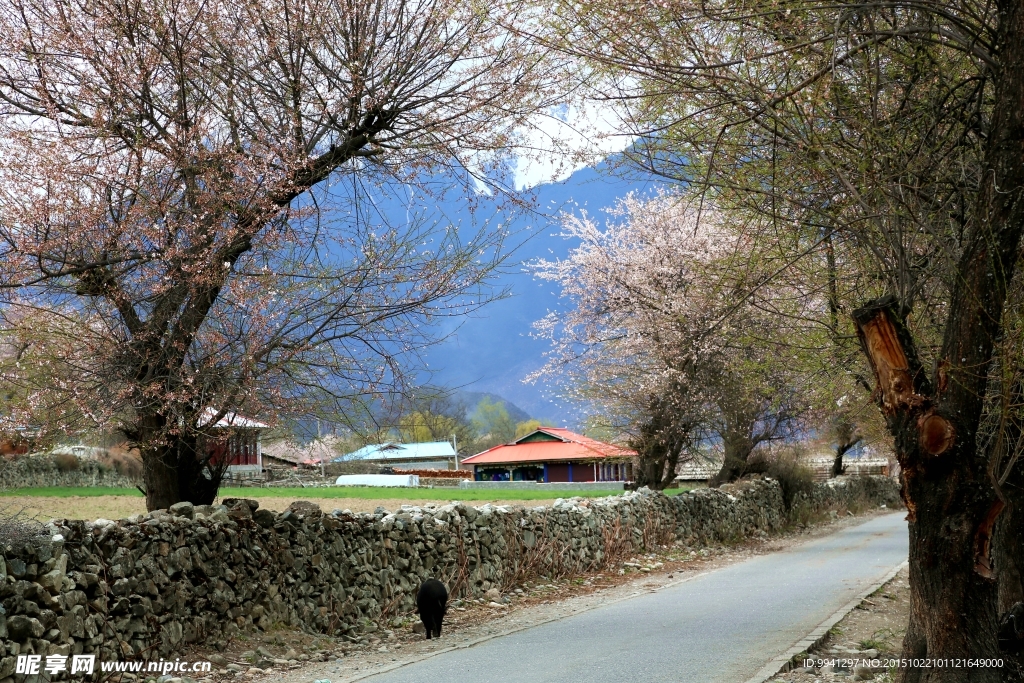 川藏林芝风景