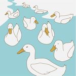 韩国 时尚 经典 花纹 艺术
