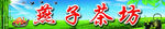 燕子茶楼茶坊