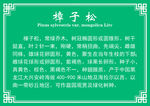 树木牌