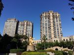 高楼大厦