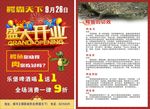 鳄霸天下 盛大开业 鳄鱼