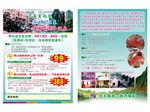 华天旅行社莽山赏杜鹃泡温泉游
