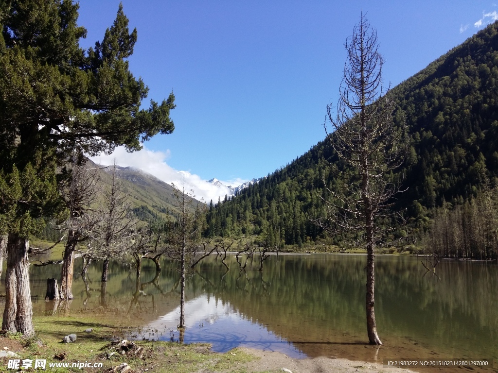 四姑娘山  蓝天白云 四川旅游