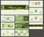 绿色PPT  淡雅PPT