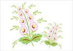 花