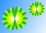 矢量花
