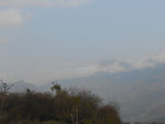 大山