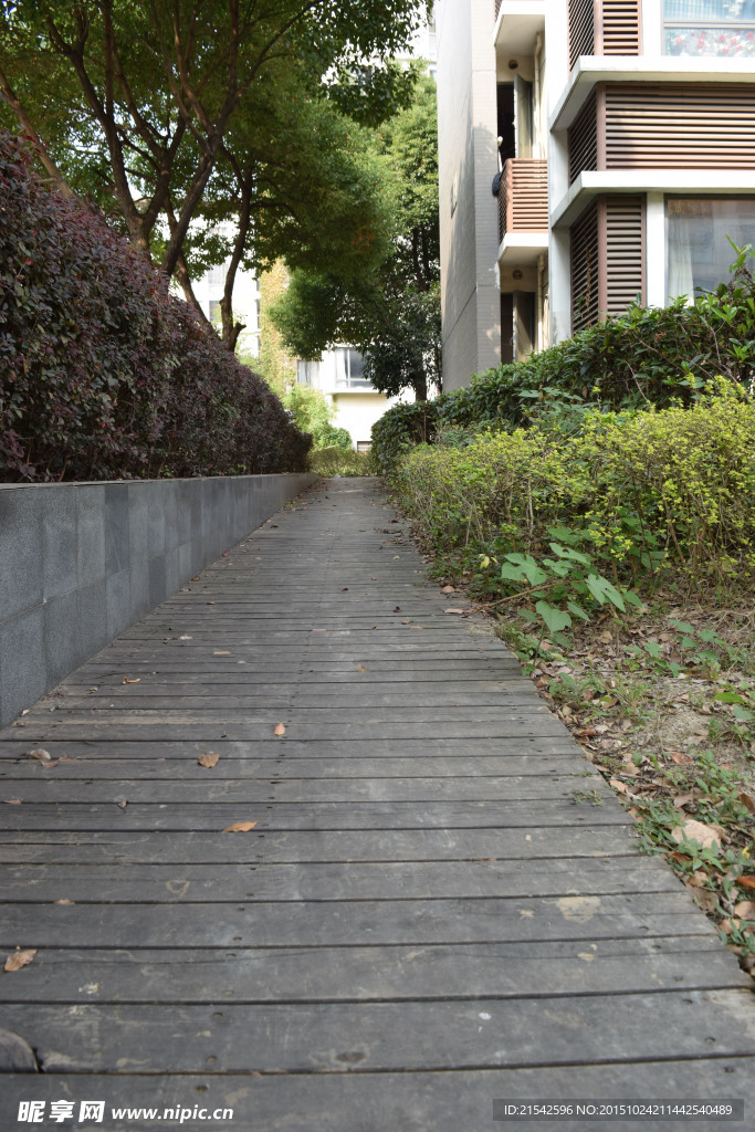 小区道路 小区景色