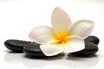 鲜花