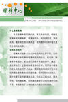 眼科中心