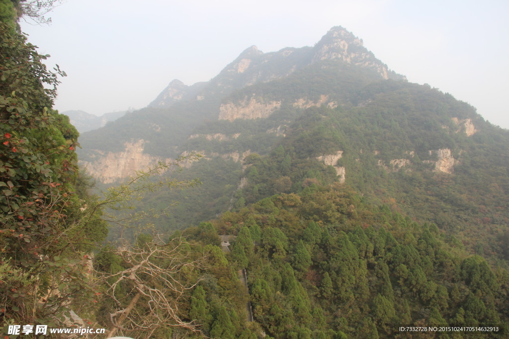 高山绿色