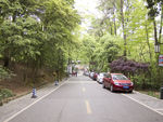 山色 公路
