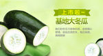 蔬菜海报