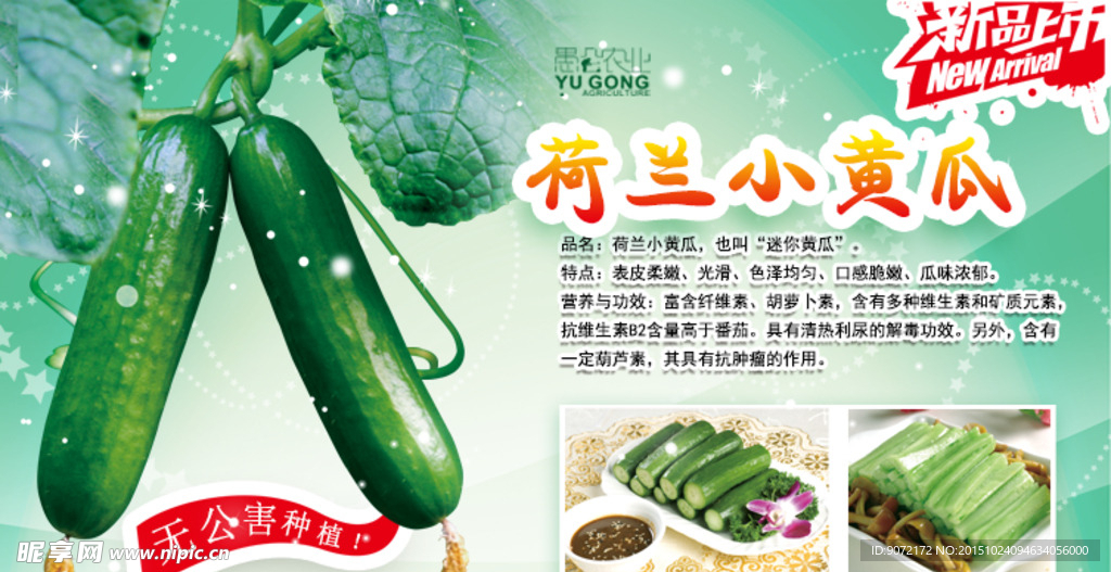 黄瓜海报