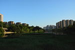 城市湿地公园