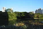 城市湿地公园