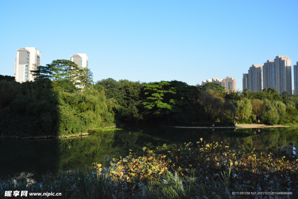 城市湿地公园