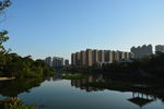 城市湿地公园