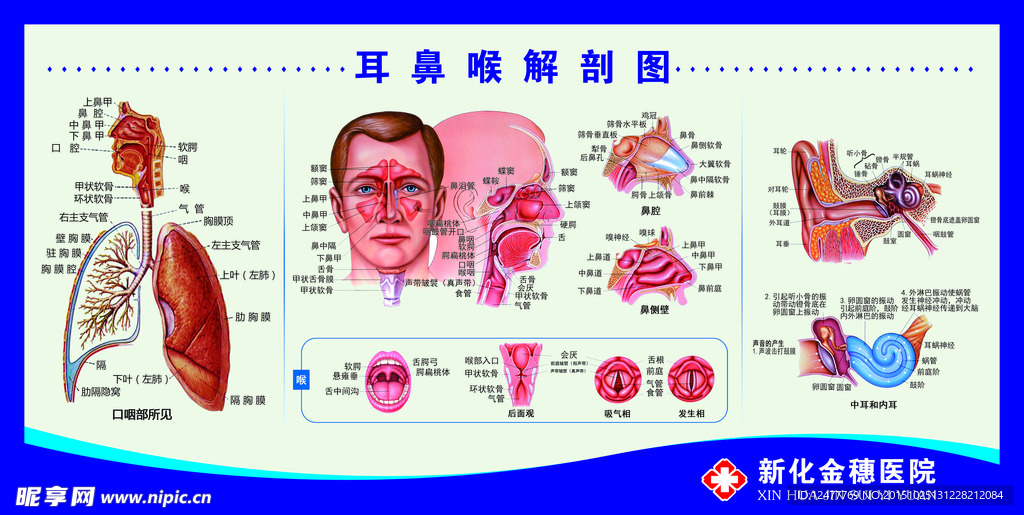 五官科宣传栏