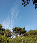 山峰