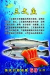 美味三文鱼