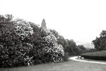 公园风景