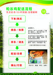流程图 展板 KT板 配送