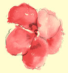 经典花纹 背景底纹 流行花纹