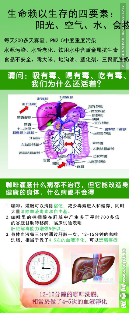 肝门静脉宣传展架