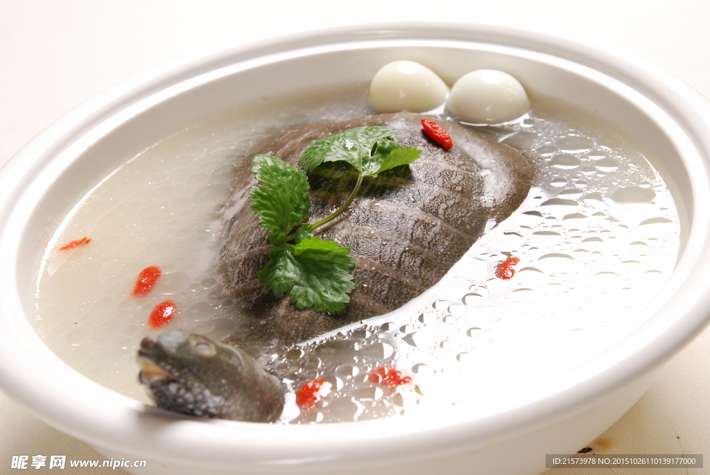 潇湘洞庭玉珠水鱼