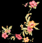 经典花纹 背景底纹 流行花纹