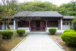 庭院